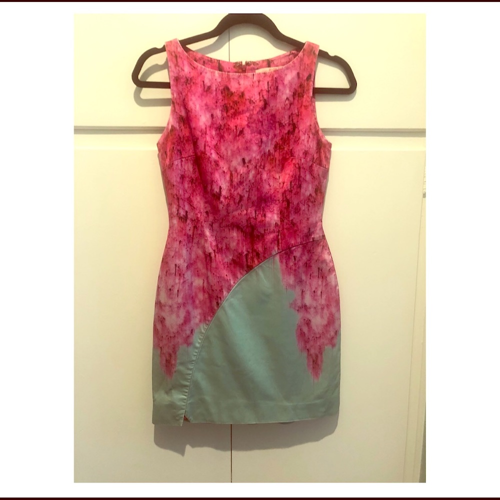 Matthew Williamson Weeping Blossom Dress (Size 2)